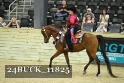 24BUCK_11825 thumbnail