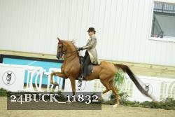 24BUCK_11832 thumbnail