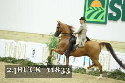 24BUCK_11833 thumbnail