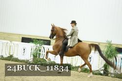 24BUCK_11834 thumbnail