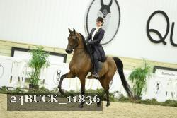 24BUCK_11836 thumbnail