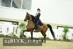 24BUCK_11837 thumbnail
