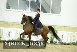24BUCK_11838 thumbnail