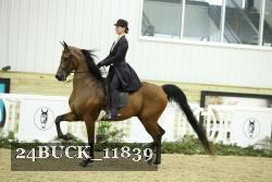 24BUCK_11839 thumbnail