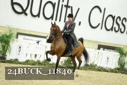 24BUCK_11840 thumbnail