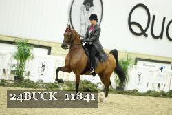 24BUCK_11841 thumbnail