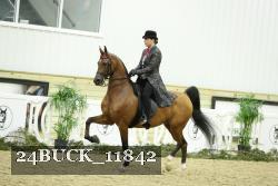 24BUCK_11842 thumbnail