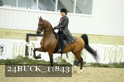 24BUCK_11843 thumbnail