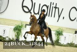 24BUCK_11844 thumbnail