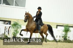 24BUCK_11846 thumbnail