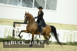 24BUCK_11847 thumbnail