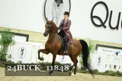 24BUCK_11848 thumbnail