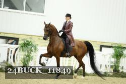 24BUCK_11849 thumbnail