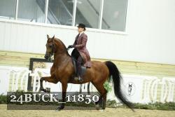 24BUCK_11850 thumbnail