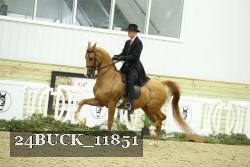 24BUCK_11851 thumbnail