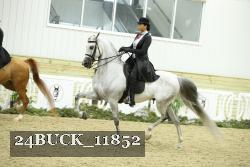 24BUCK_11852 thumbnail