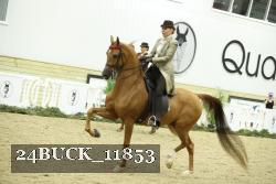 24BUCK_11853 thumbnail