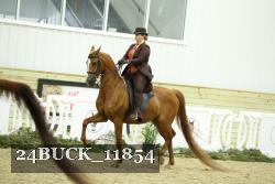 24BUCK_11854 thumbnail