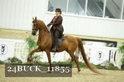 24BUCK_11855 thumbnail