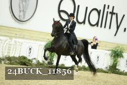 24BUCK_11856 thumbnail