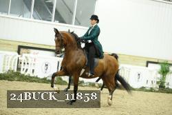 24BUCK_11858 thumbnail