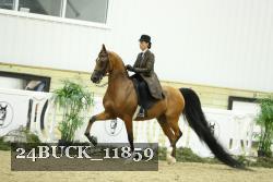 24BUCK_11859 thumbnail