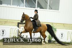 24BUCK_11860 thumbnail