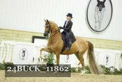 24BUCK_11862 thumbnail