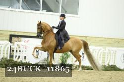 24BUCK_11865 thumbnail