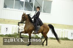 24BUCK_11866 thumbnail