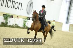 24BUCK_11869 thumbnail