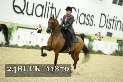 24BUCK_11870 thumbnail
