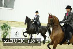 24BUCK_11871 thumbnail