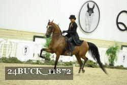 24BUCK_11872 thumbnail