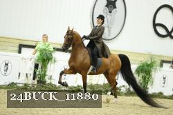 24BUCK_11880 thumbnail