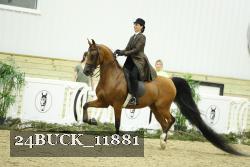 24BUCK_11881 thumbnail
