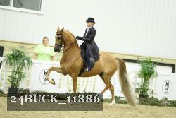 24BUCK_11886 thumbnail