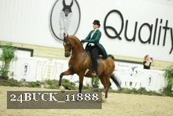 24BUCK_11888 thumbnail