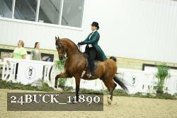 24BUCK_11890 thumbnail