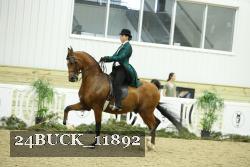 24BUCK_11892 thumbnail