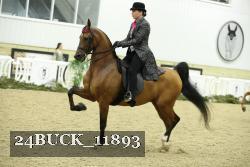 24BUCK_11893 thumbnail
