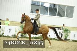 24BUCK_11895 thumbnail