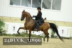 24BUCK_11896 thumbnail