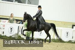 24BUCK_11897 thumbnail