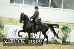 24BUCK_11900 thumbnail