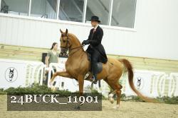 24BUCK_11901 thumbnail