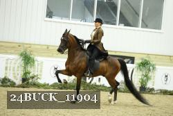 24BUCK_11904 thumbnail