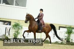 24BUCK_11905 thumbnail