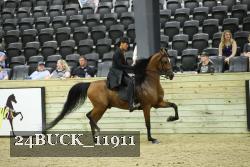 24BUCK_11911 thumbnail
