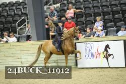 24BUCK_11912 thumbnail